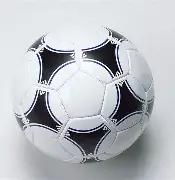 亚冬会短道,速滑精彩回,实力名将耀,立博体育,立博体育官网,立博体育官方,立博体育下载