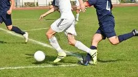 立博体育 产品 233143 5mg