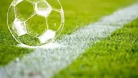 立博体育 产品 092451 puy