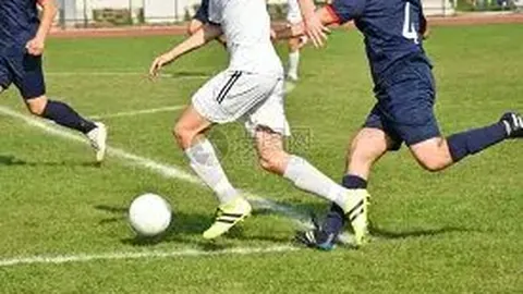 丁伟执掌广州龙狮篮球教鞭