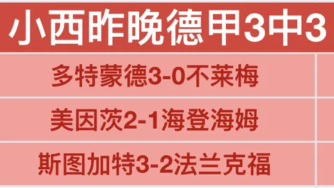 “齐沃周二将接任帕尔马教练一职，斯基拉曝球队备战开练”